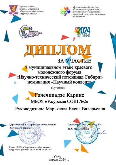 Муниципальный этап краевого молодежного форума &quot;Научно-технический потенциал Сибири&quot;.